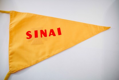 Picture of NS Team Flag